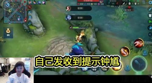 张角爆料猫神被抓了吗视频,独家视频揭秘事件真相