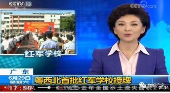 肇庆广宁新闻头条视频,突发事故引发关注，救援行动正在进行中
