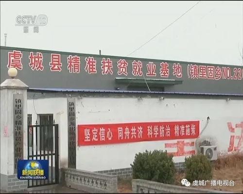 河南商丘新闻头条号,聚焦商丘最新动态，解码城市脉搏