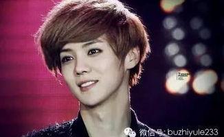 女明星和男明星有哪些,盘点当红女明星与男明星的闪耀时刻