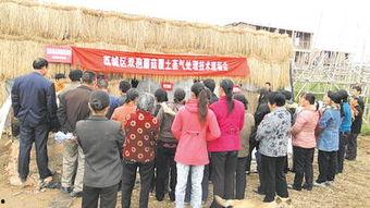 句容新闻头条三横镇,聚焦乡村振兴，打造美丽宜居新家园