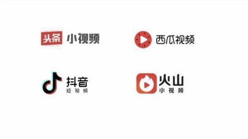 搜索自己发的头条号,我的独特视角与精彩内容回顾