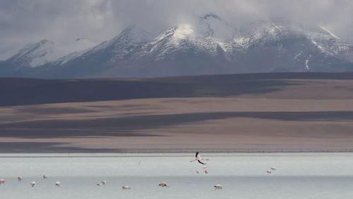 网红南山照片高清,网红打卡地高清大赏