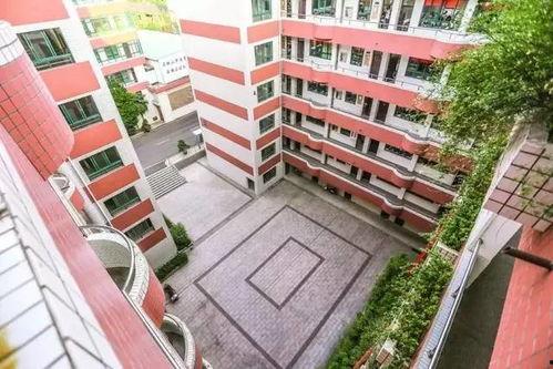 马鞍山八中出了个明星,揭秘明星成长之路”