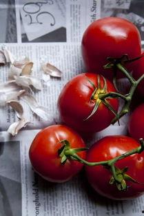 网红西红柿菜,美味与时尚的完美融合