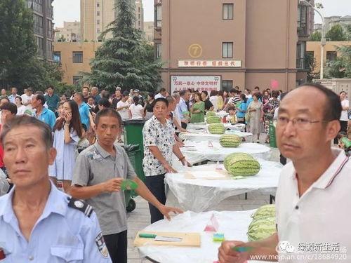 围观吃瓜照片大全,捕捉社会百态的趣味瞬间