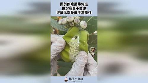 牛角瓜水果怎么吃