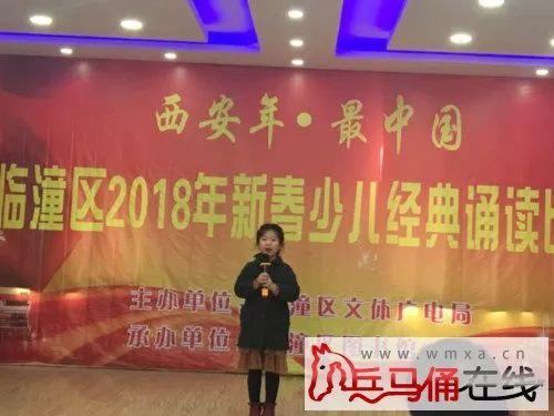 今年临潼有哪些新闻头条,历史遗迹焕新颜，文旅融合新篇章