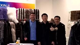 辛集新闻爆料,揭秘当地热点事件背后的真相