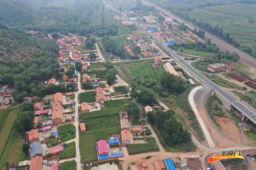 东营红沟村新闻头条,乡村振兴新篇章，绿色发展谱新篇