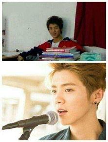 明星来鞍,明星来鞍，共绘城市新篇章