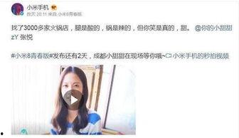 网红而已是什么意思,网红现象背后的社会文化解读