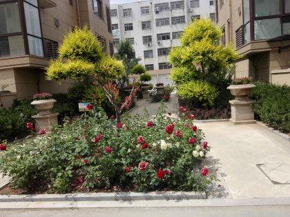 明星花园名字的由来,星光熠熠，缘起传奇之地